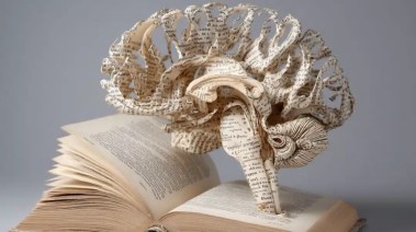 تأثير القراءة الورقية والإلكترونية على الدماغ