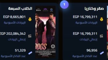 فيلم صقر وكناريا