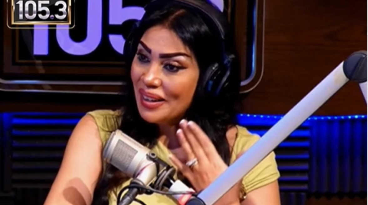 المذيعة أميرة نور 