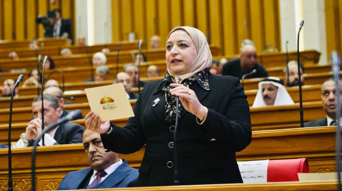 النائبة سحر عتمان عضو مجلس النواب