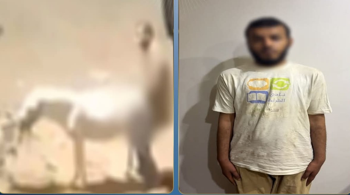 المتهم 