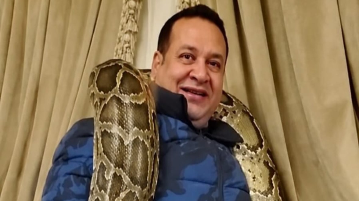 صبري نخنوخ 
