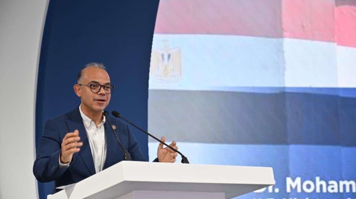 وزير الاستثمار والتجارة الخارجية، محمد فريد،