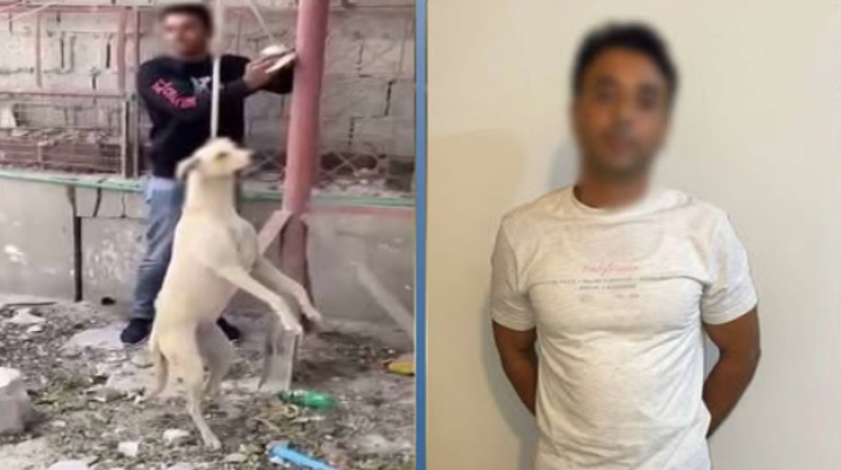 المتهم وجانب من الواقعة 