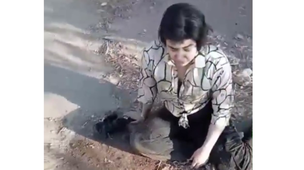 جانب من الواقعة 