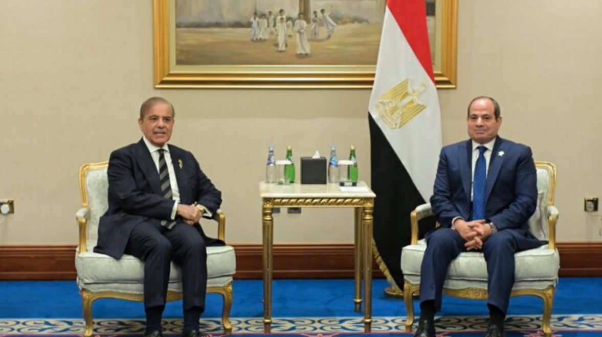 الرئيس عبدالفتاح السيسي، ونظير الباكستاني، شريف شهباز