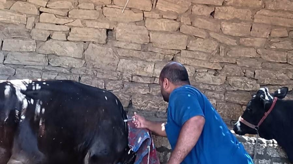 محافظ أسوان 