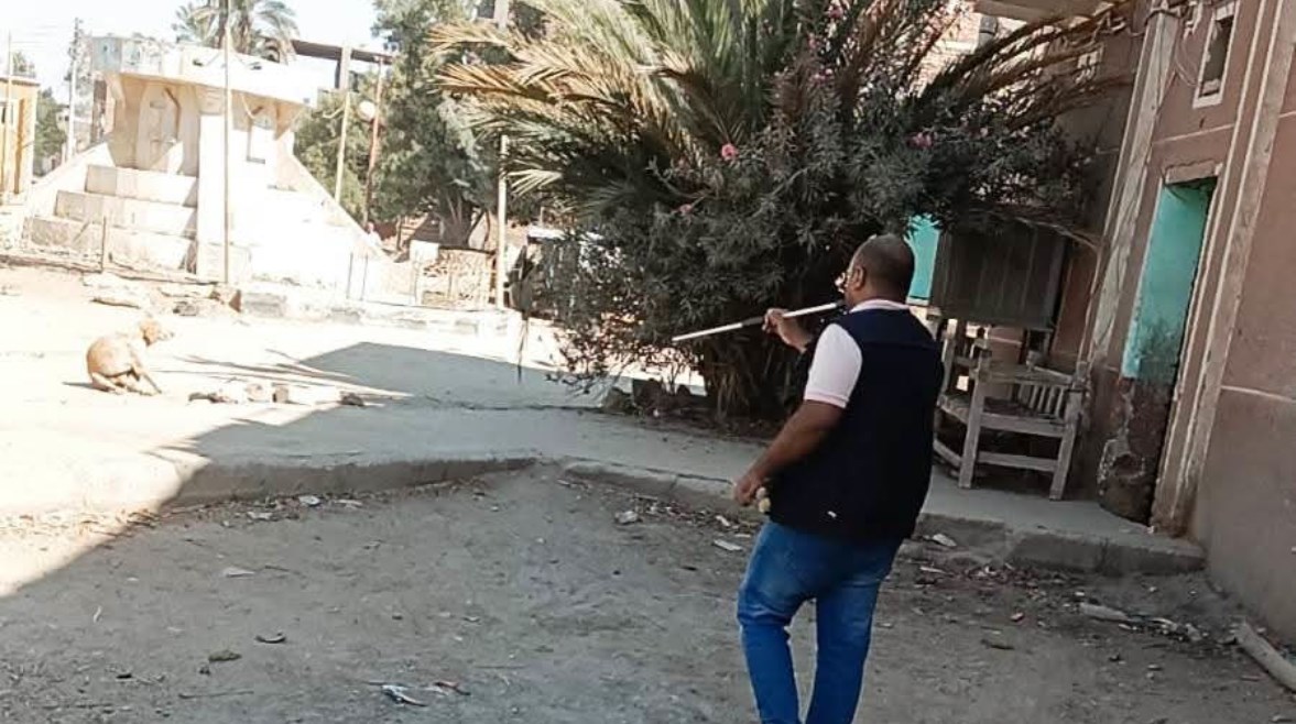 محافظ أسوان 