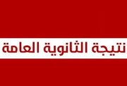 الاستعلام عن نتيجة الثانوية العامة 2026 برقم الجلوس