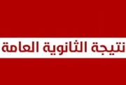 لينك نتيجة الثانوية العامة 2026