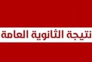 شيت إكسيل نتيجة الثانوية العامة 2026