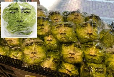 صورة الممثل الياباني على الخس