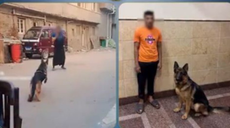 المتهم وجانب من الواقعة 