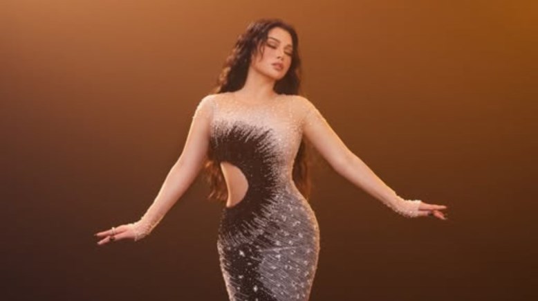 الفنانة هيفاء وهبي