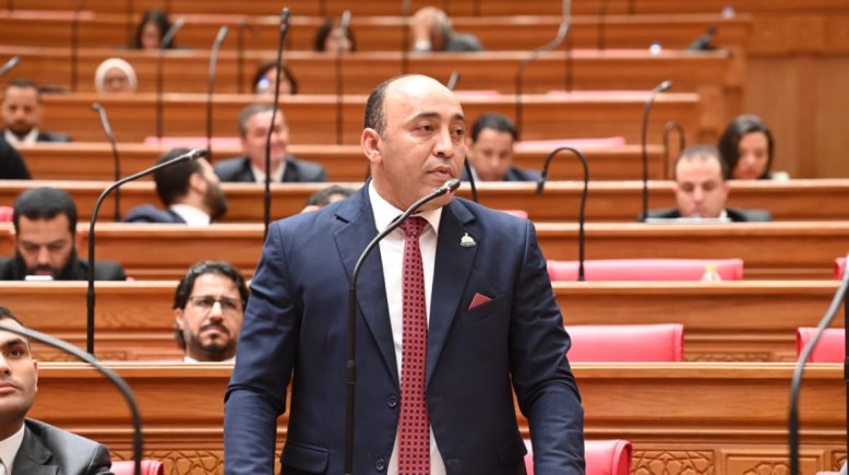 النائب حسام حسن