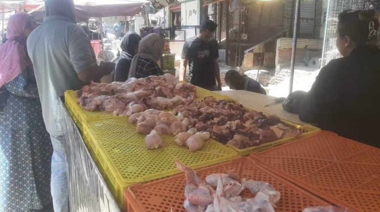 دواجن فاسدة 