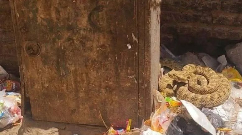 كوبري صحراوية أمام مدرسة بقنا 