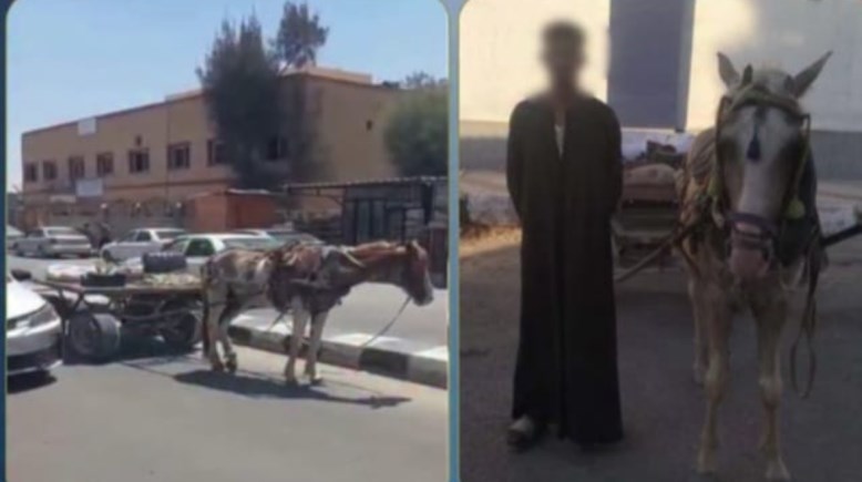 المتهم وجانب من الواقعة