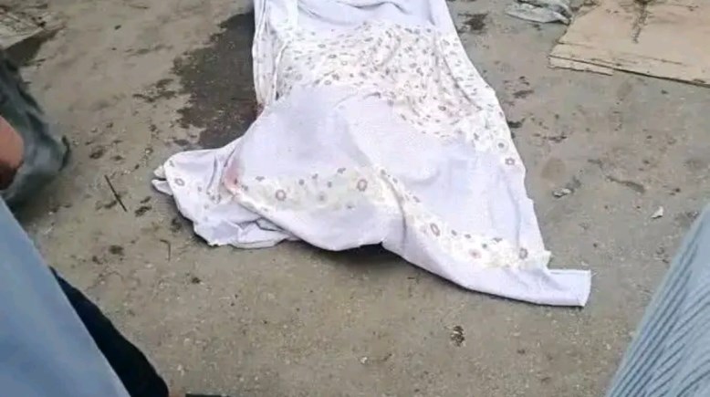 ارشيفيه 