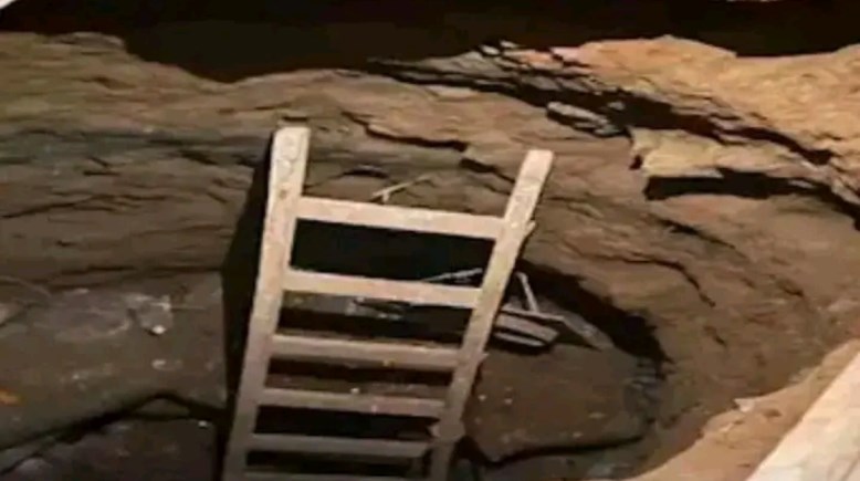 أرشيفية 