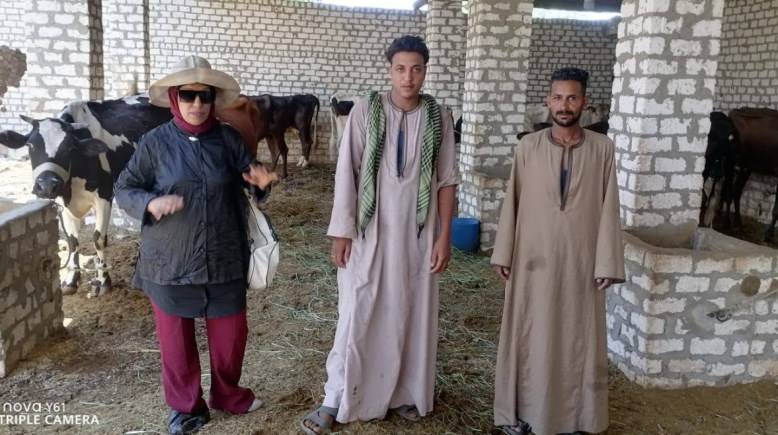 لقطة من الحملة 