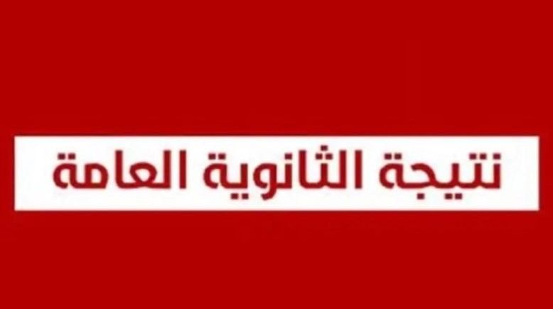 شيت إكسيل نتيجة الثانوية العامة 2026