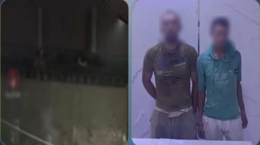 المتهمان