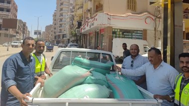 مفتشي الحملة 