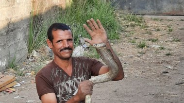 صورة عم طه عقب الامساك بالافعي 