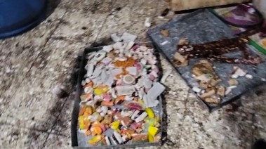 صورة المضبوطات 
