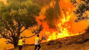 حرائق تونس والجزائر 