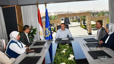 محافظ أسوان 