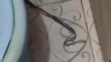 صورة الثعبان داخل المنزل 
