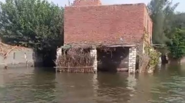 لقطة من طرح النهر بالمنوفية 
