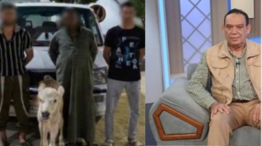 الخبير المروري والمتهمون