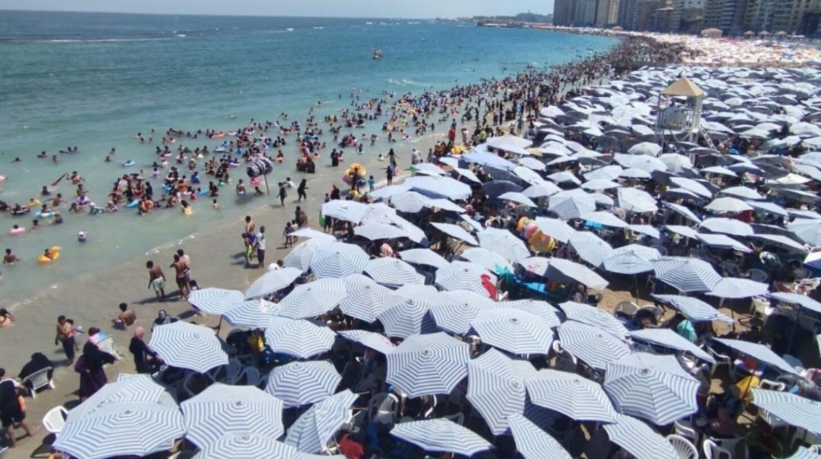 شواطئ إسكندرية