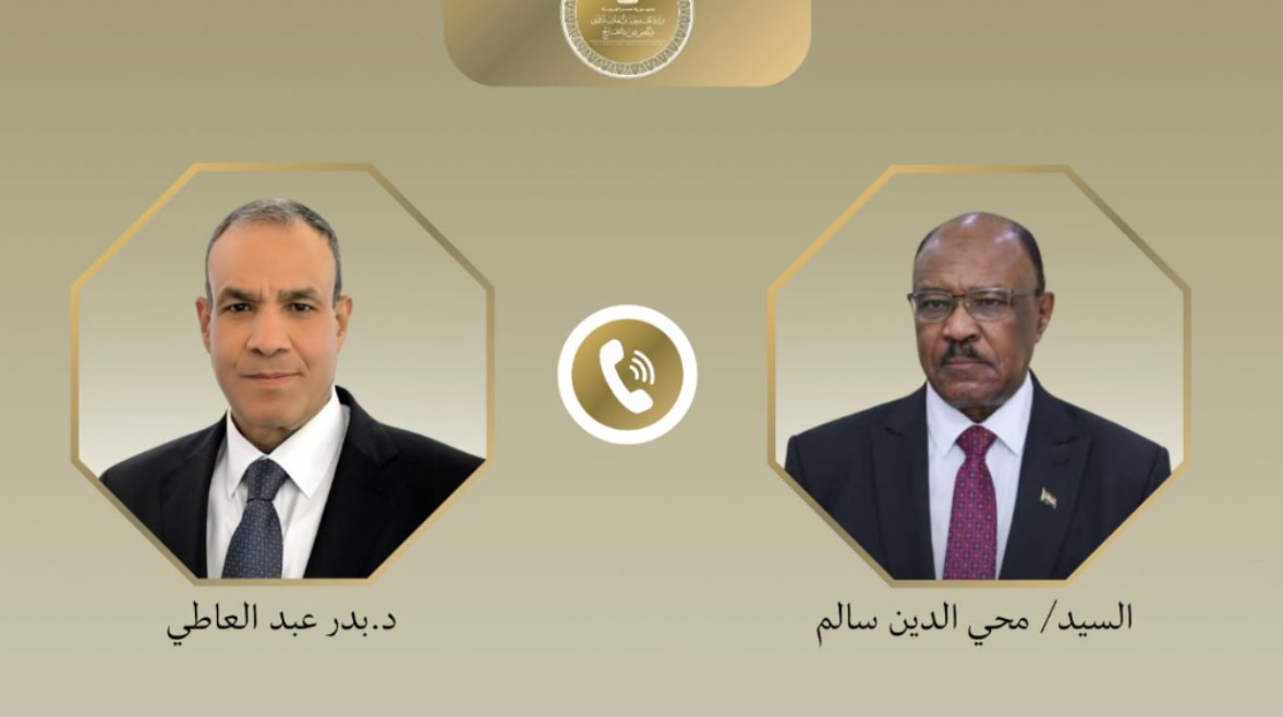 وزير الخارجية المصري ونظيره السوداني