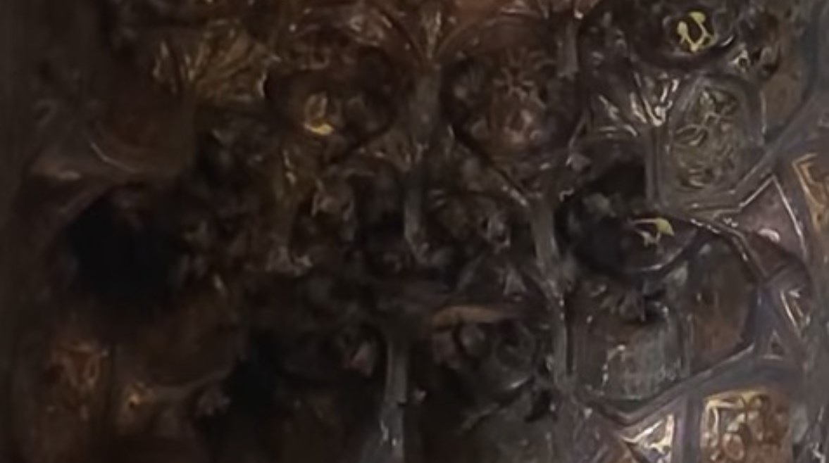 خفافيش بسقف أثري بالمعز
