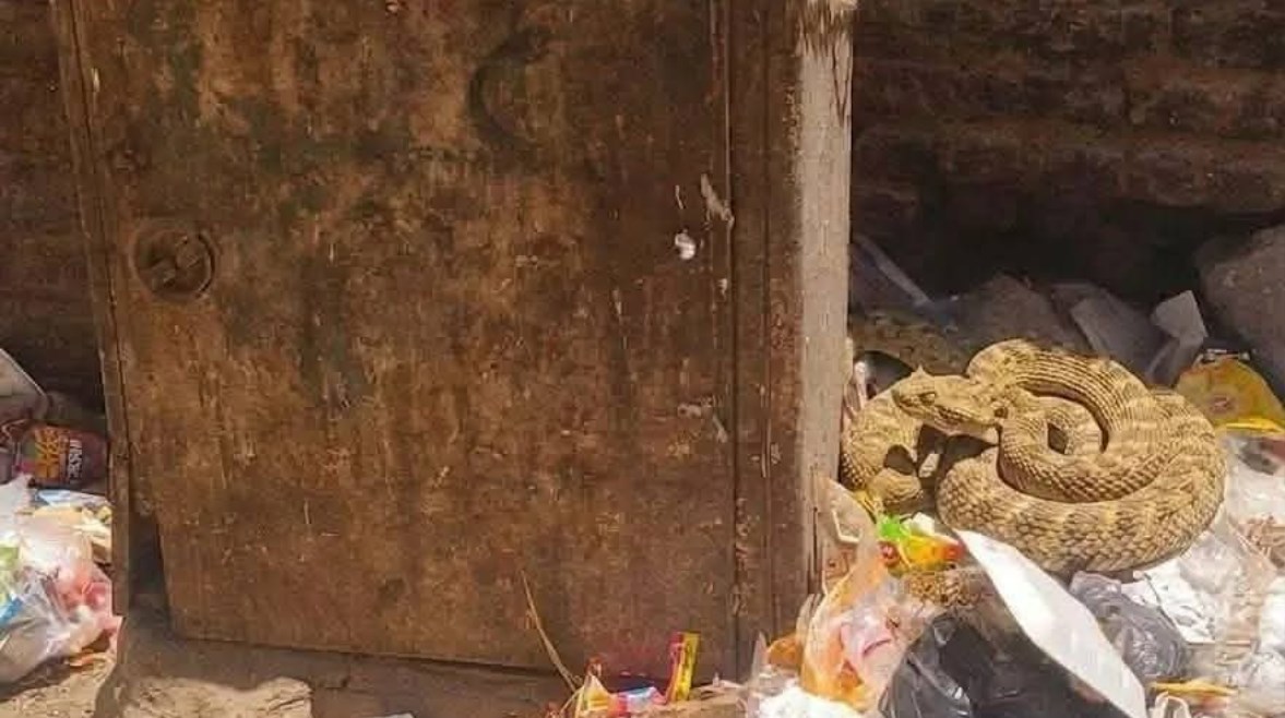 كوبري صحراوية أمام مدرسة بقنا 