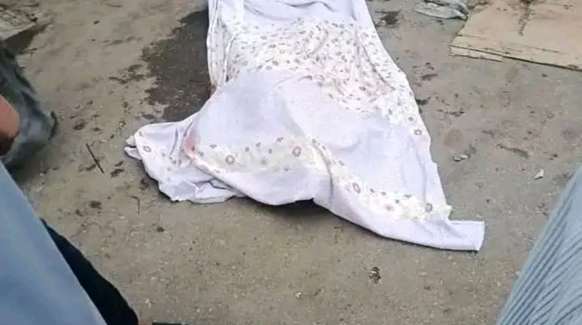 ارشيفيه 