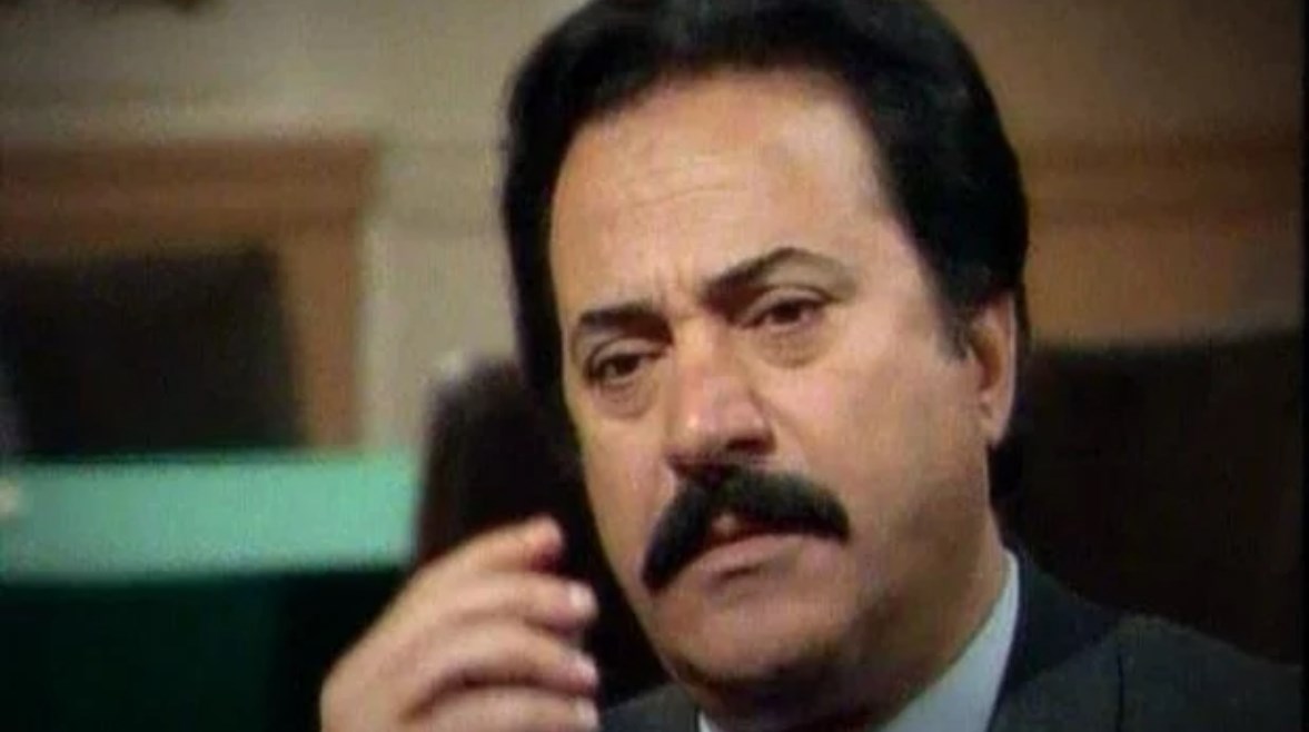 الفنان يوسف شعبان 