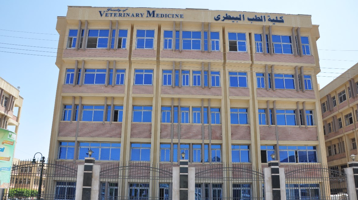 تنسيق الطب البيطري 2026