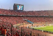  استاد القاهرة