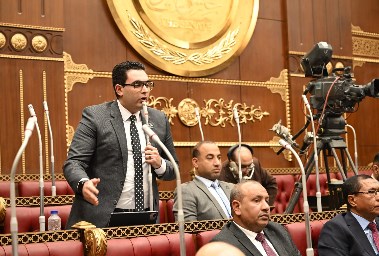 النائب أحمد خالد ممدوح