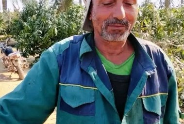 عم إبراهيم 