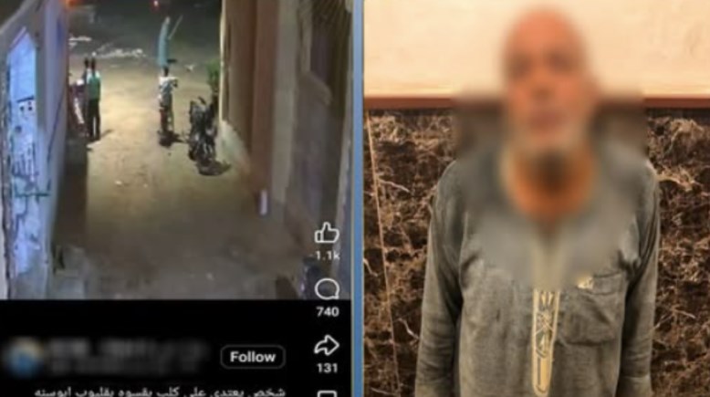 المتهم