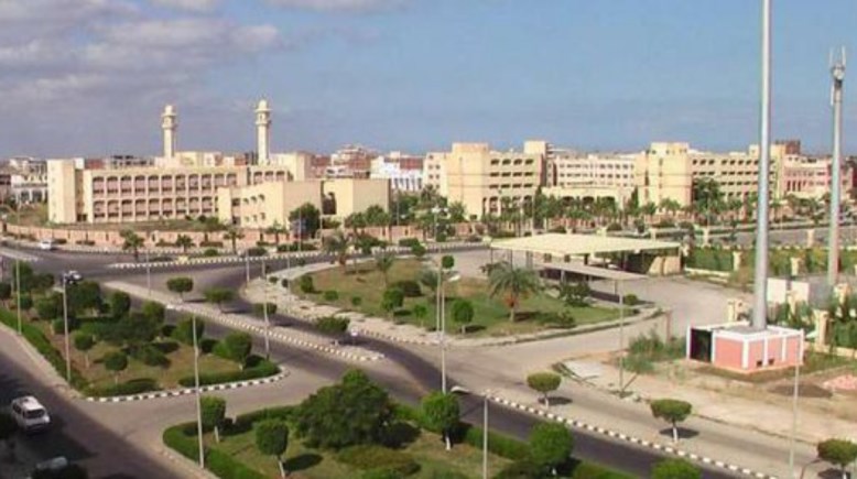 جامعة دمياط