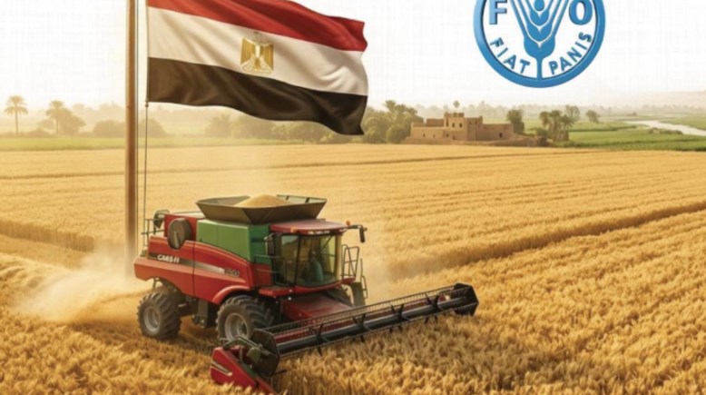  إنتاج القمح خلال عام 2026