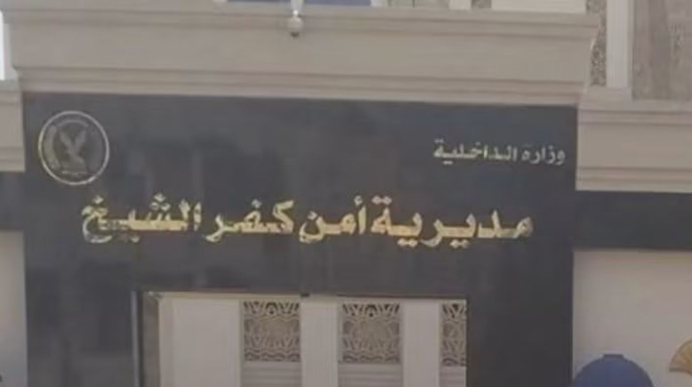 ارشيفية