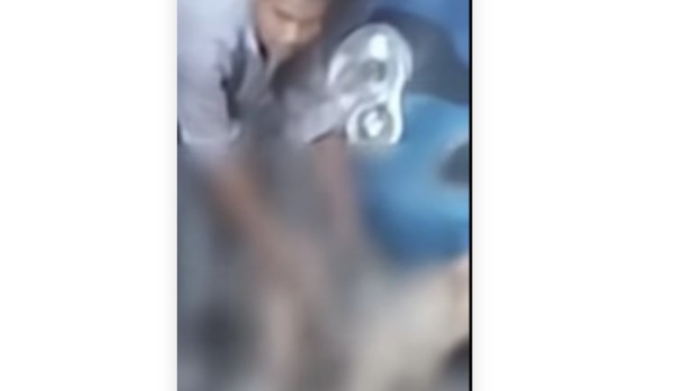 فيديو مخل لمدمن وكلب في الزاوية